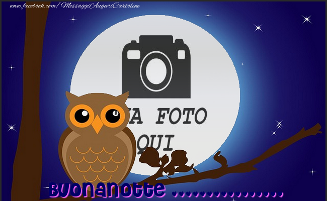 Crea cartoline personalizzate di buonanotte | Buonanotte ... - Cornice per foto a forma di luna con un gufo su un albero