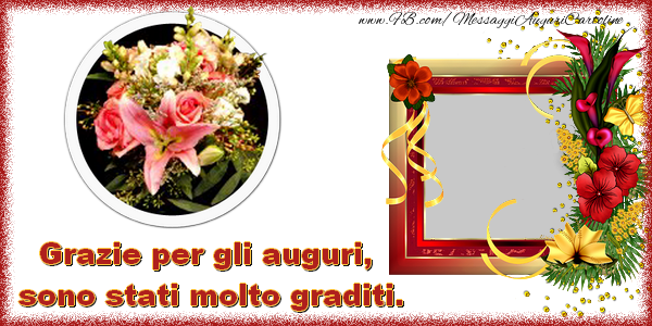 grazie2119