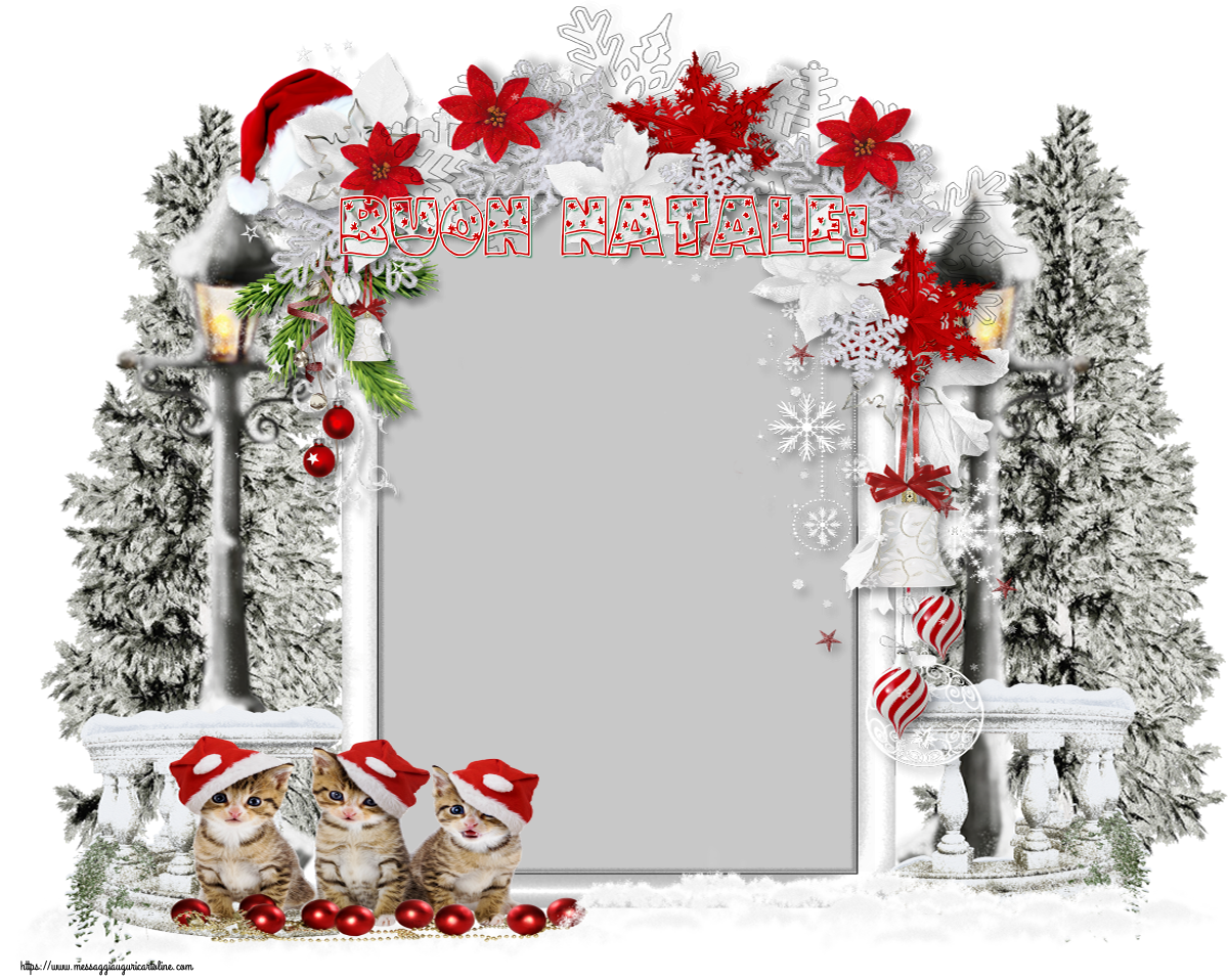 Auguri Di Natale Con Foto Personalizzata.Cartoline Di Natale Personalizzate Gratis Cartolinepersonalizzate Com